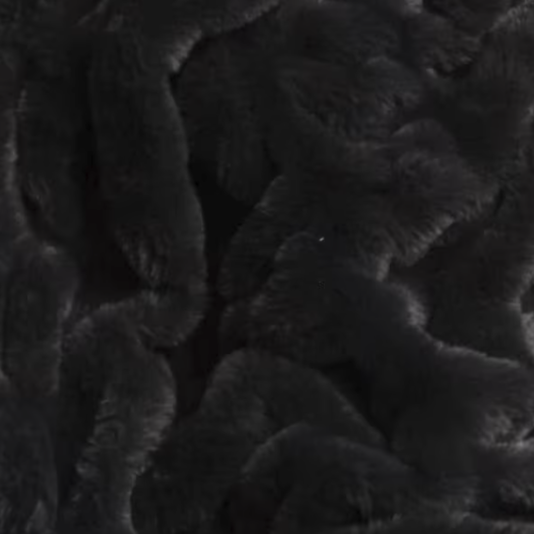 The Nightfall Blanket