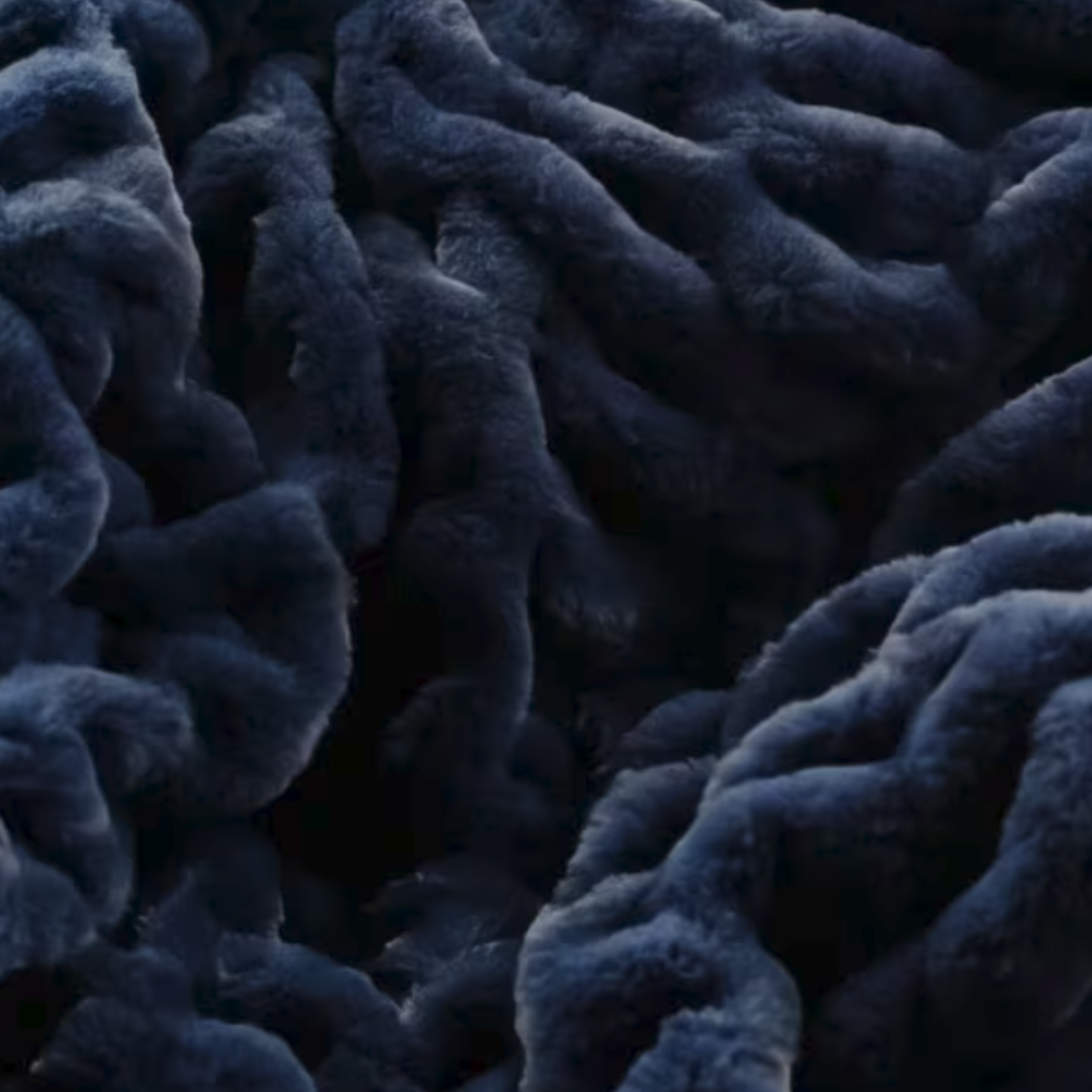 The Nightfall Blanket